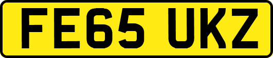 FE65UKZ