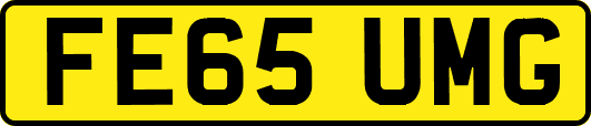 FE65UMG