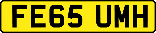 FE65UMH