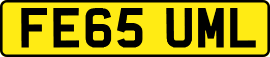 FE65UML