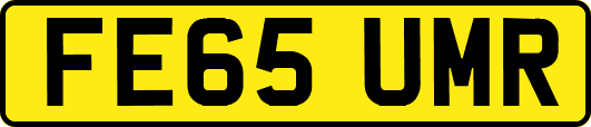 FE65UMR