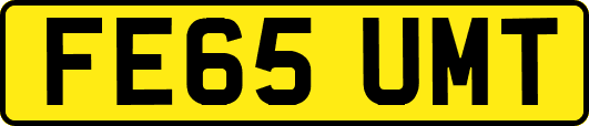 FE65UMT