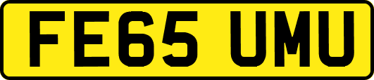 FE65UMU