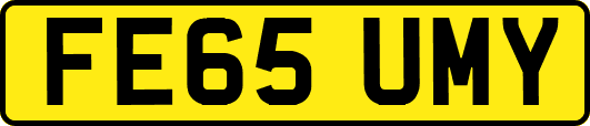 FE65UMY