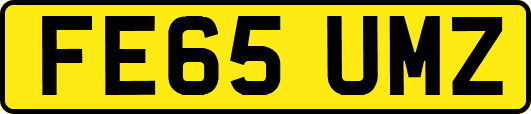 FE65UMZ