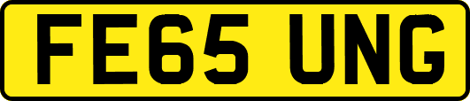 FE65UNG