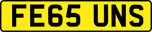 FE65UNS