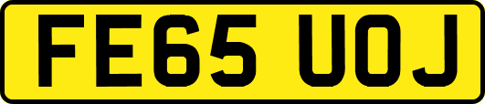 FE65UOJ