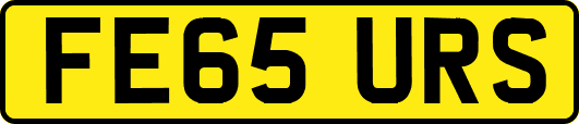 FE65URS
