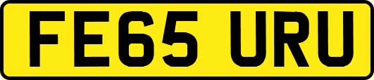FE65URU