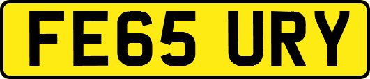 FE65URY