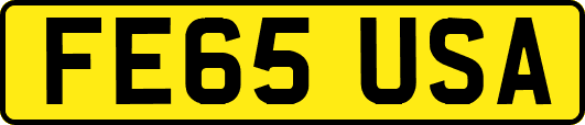 FE65USA