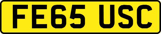 FE65USC