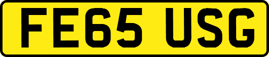 FE65USG