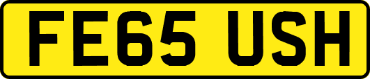FE65USH