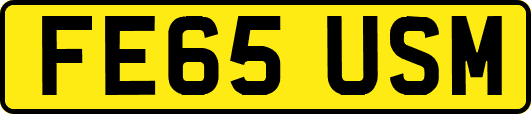 FE65USM