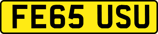 FE65USU