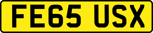 FE65USX