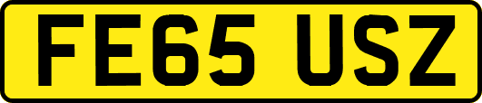 FE65USZ