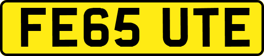 FE65UTE