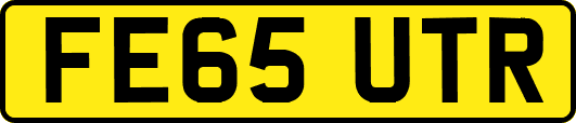 FE65UTR