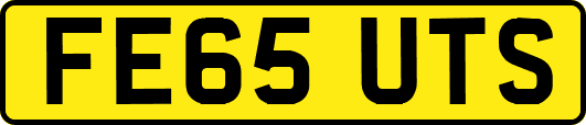 FE65UTS
