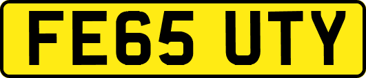 FE65UTY