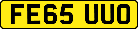 FE65UUO