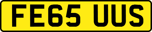 FE65UUS