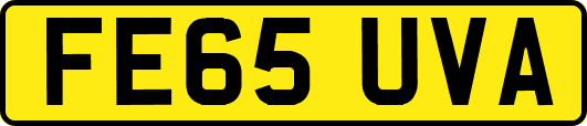 FE65UVA