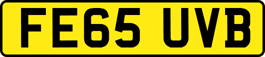FE65UVB