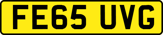 FE65UVG
