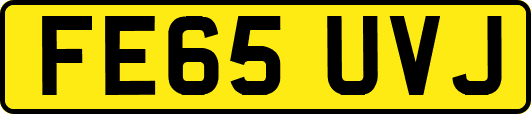 FE65UVJ