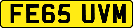 FE65UVM
