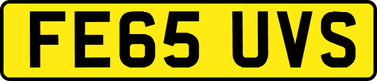FE65UVS