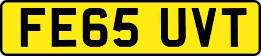 FE65UVT