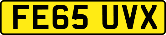 FE65UVX