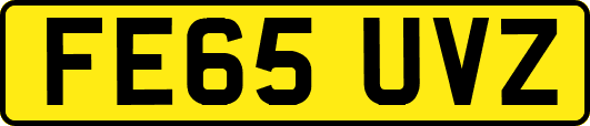 FE65UVZ