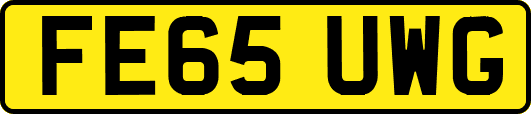 FE65UWG