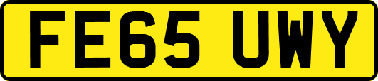 FE65UWY