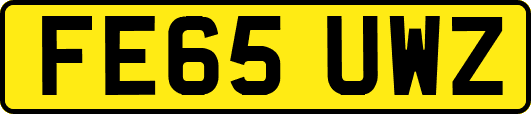 FE65UWZ