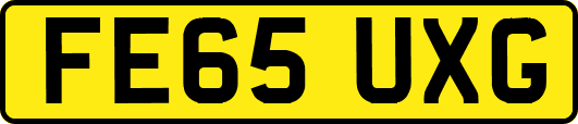 FE65UXG