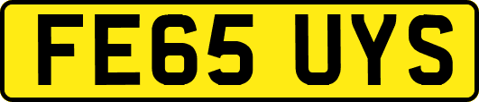 FE65UYS