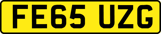 FE65UZG