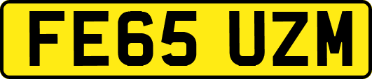 FE65UZM