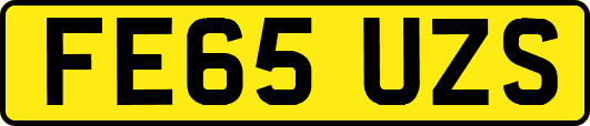 FE65UZS