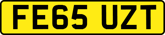 FE65UZT