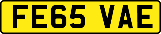 FE65VAE