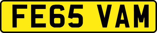 FE65VAM