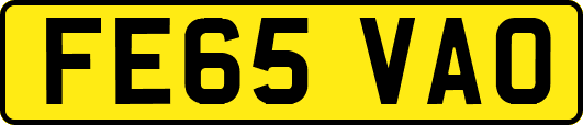 FE65VAO